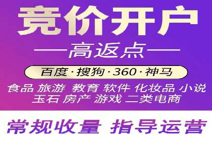 SEM运营公司成功案例解析